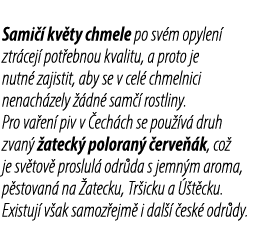 Sami  kv ty chmele po sv m opylen  ztr cej  pot ebnou kvalitu, a proto je nutn  zajistit, aby se v cel  chmelnici ne...