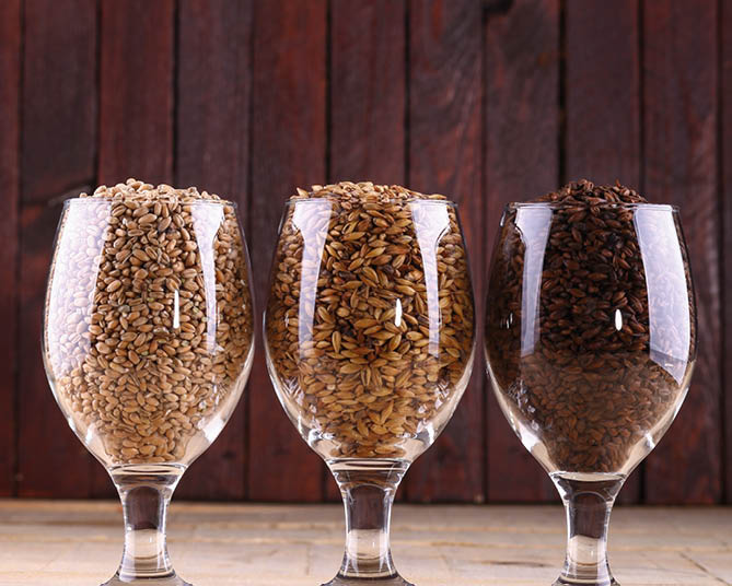 Glasses filled with different types of malt over a wooden background
