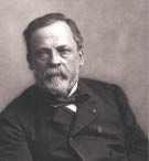 Scientific Identity, Portrait of Louis Pasteur