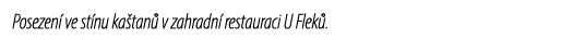 Posezen ve st nu ka tan  v zahradn  restauraci U Flek .