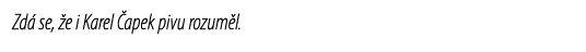 Zd se,  e i Karel  apek pivu rozum l.