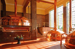 +420 731 182 320 www.ds-foto.cz