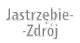 Jastrz bie Zdr j
