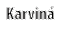 Karvin 