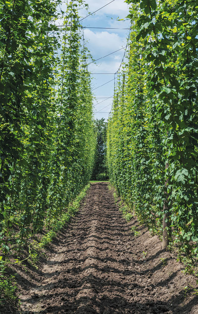 Industrie  Landwirtschaft   Felder