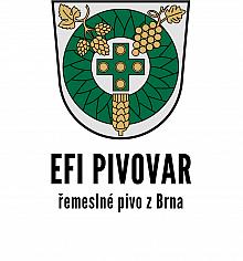 efi logo 3